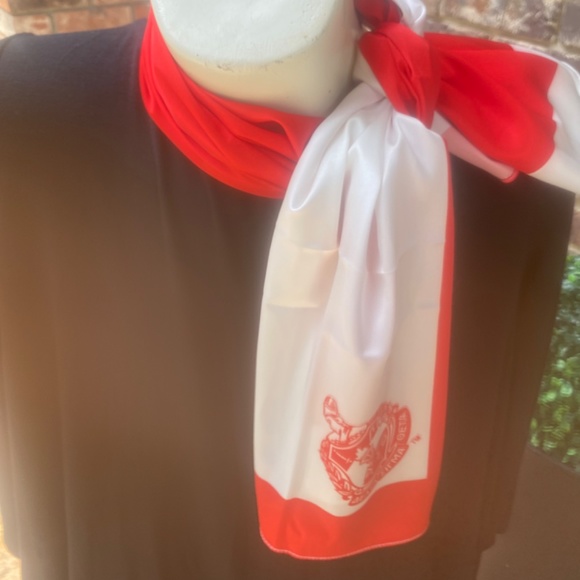 New Reversible  6 in 1 Delta Sigma Theta scarf - Picture 7 of 11